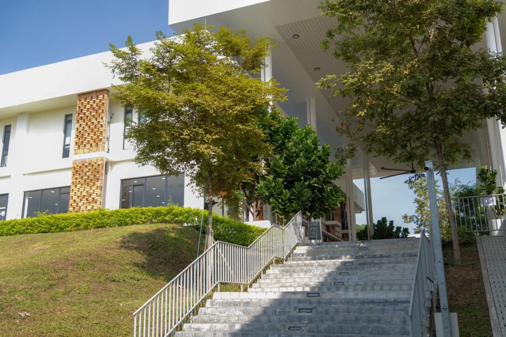 Steps leading up to the school building through landscaped grounds.